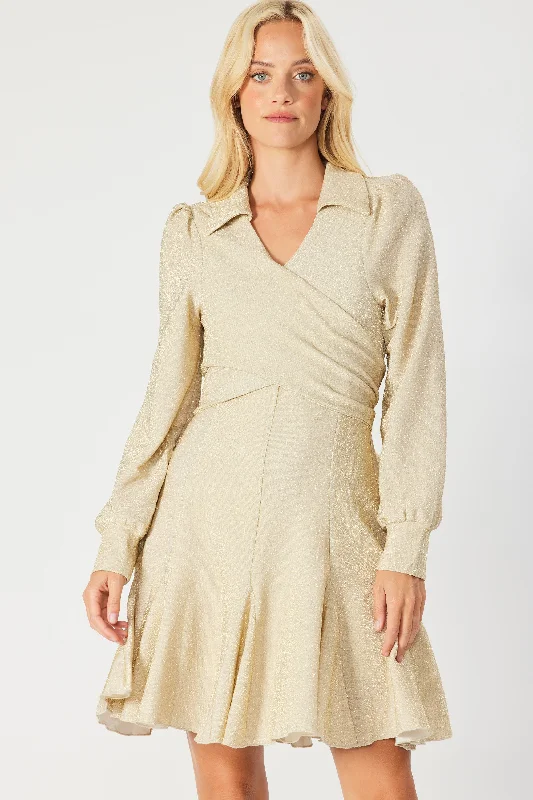 Champagne Wrap Around V Neck Skater Dress Plus size unclassified dresses